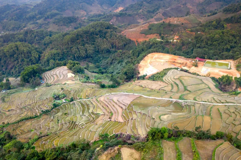 Read the Land, Taste the Dish: How Elevation, Rain, and Soil Predict What's on Your Plate
