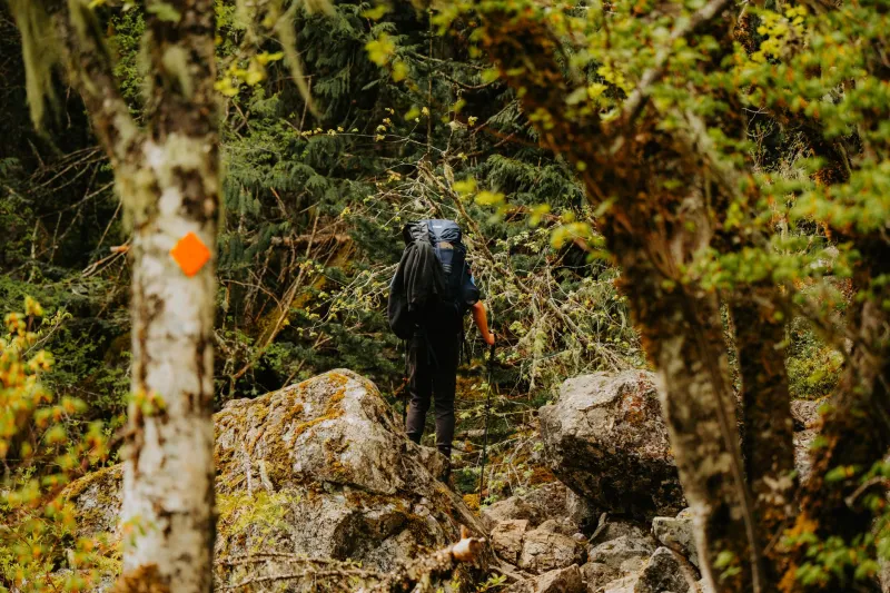 Step Between Nations: 7 Walks Where the Border Is Just a Line in the Grass